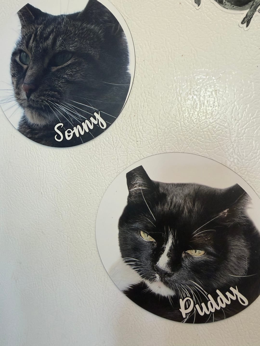 Customer photo review of Your photo - Personalized Car Magnet