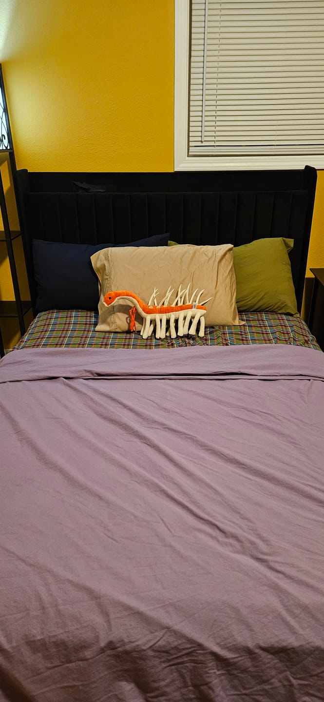 Customer photo review of Adorable Hallucigenia Plush Toy – Prehistoric Sea Creature Stuffed Animal