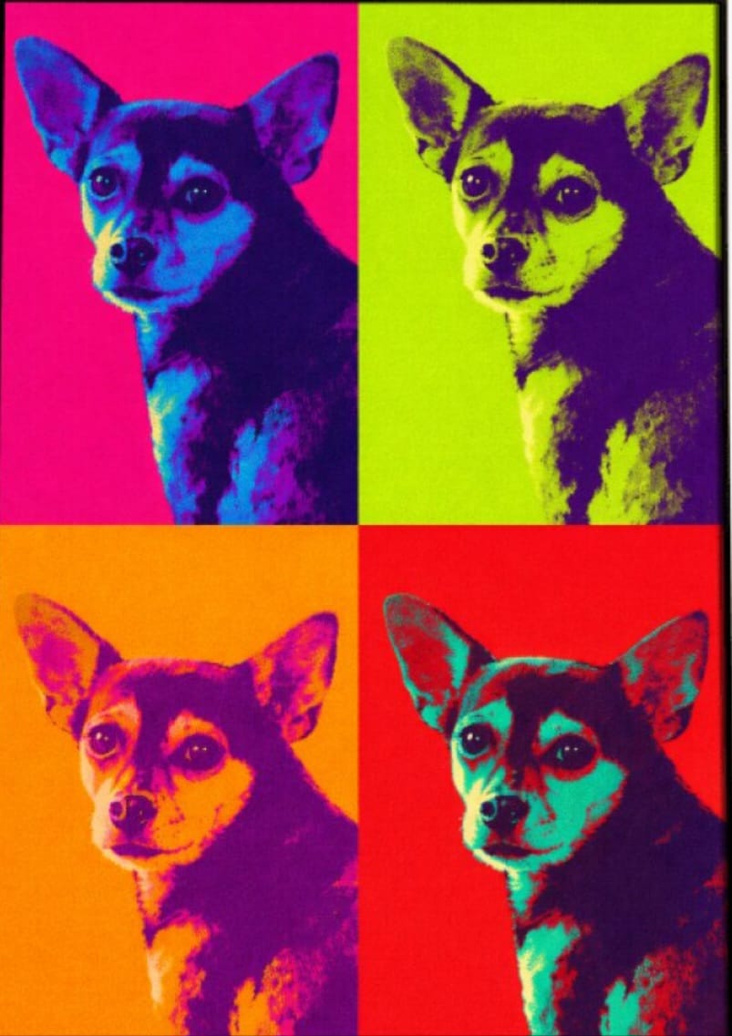 Customer photo review of Color Squares - Personalized Poster