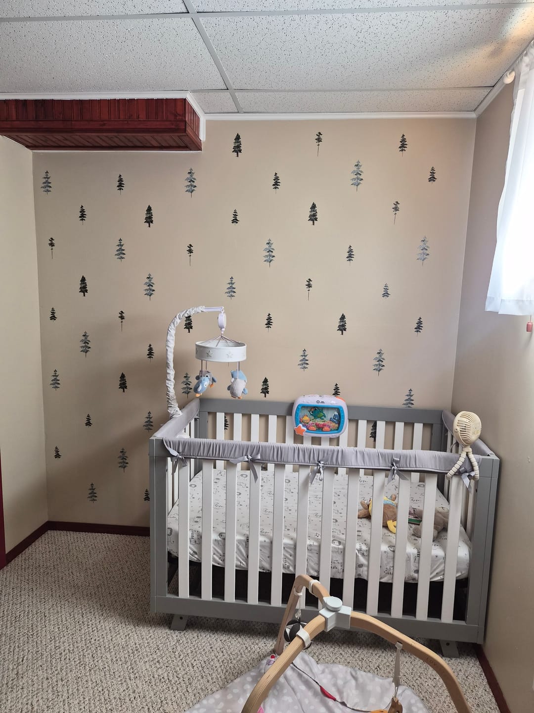 Customer photo review of Watercolor Trees Wall Decals