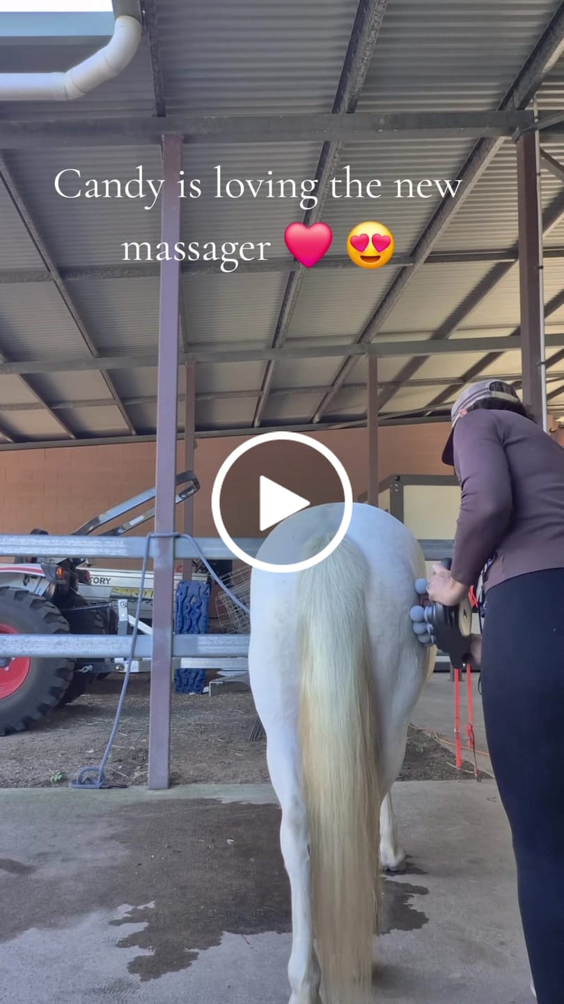Customer video review of HorseHalo™ 8 Heads Red Light Massage Gun