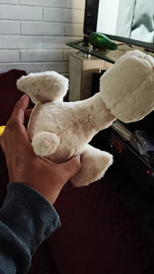 Customer photo review of Mr.CanardRage™