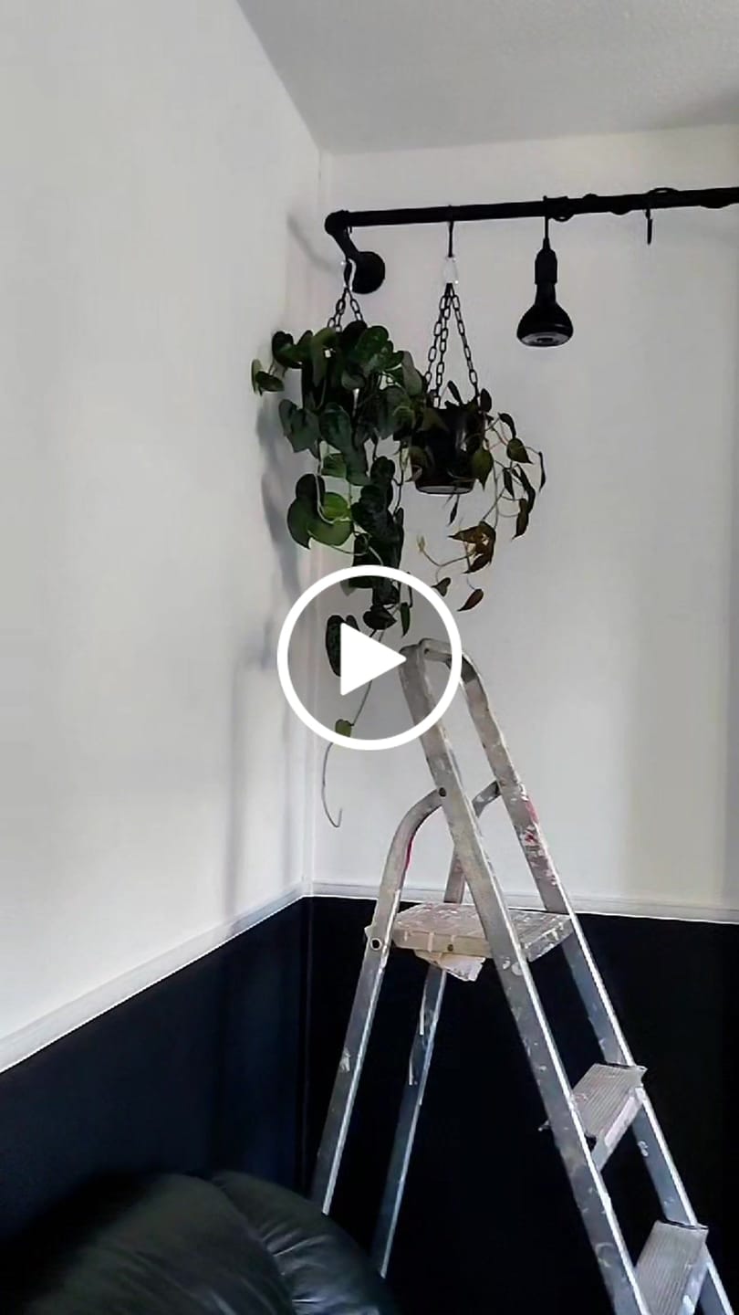 Customer video review of Pianta Grow Light LED Bulb
