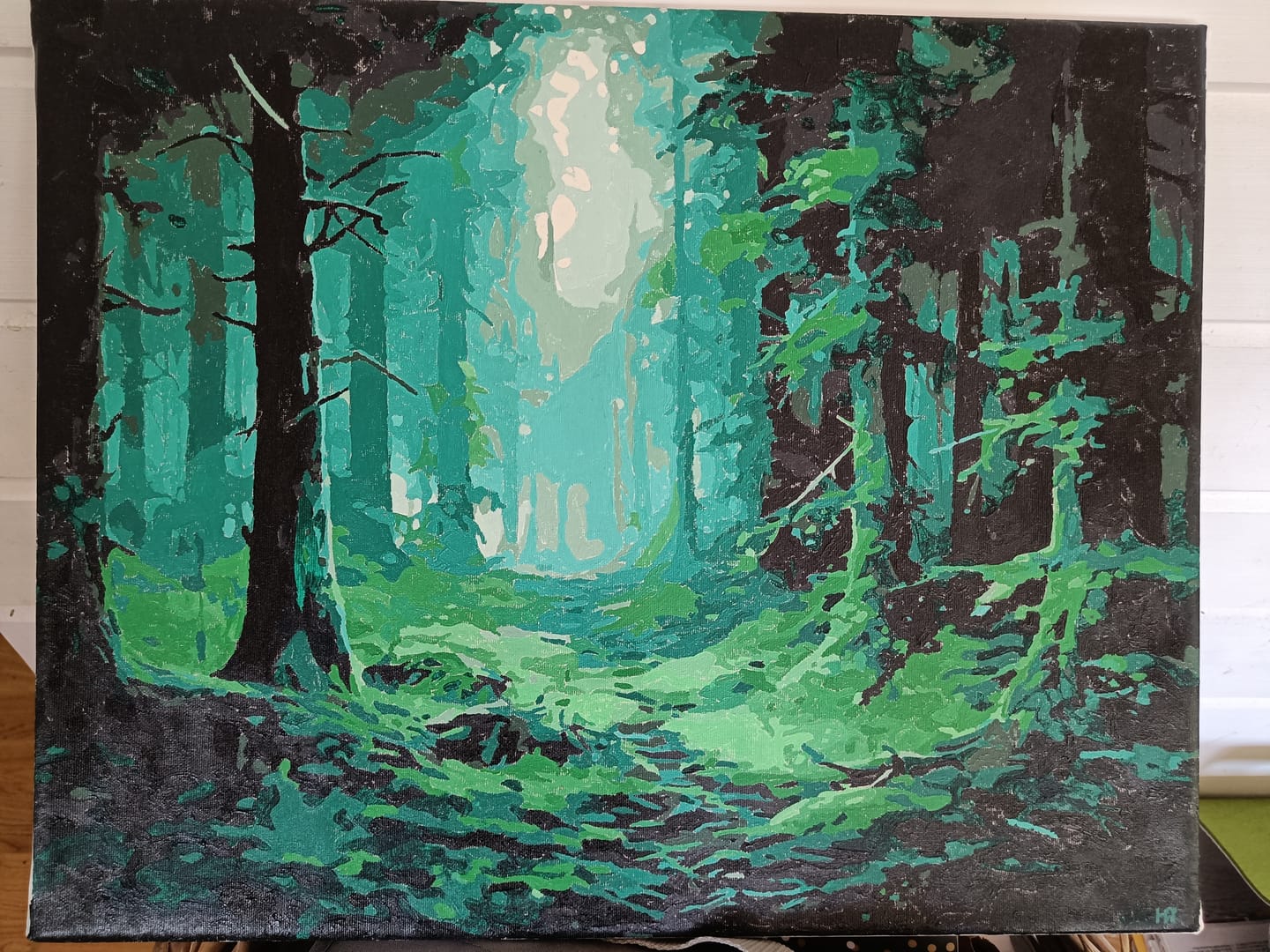 Customer photo review of Misty Forest