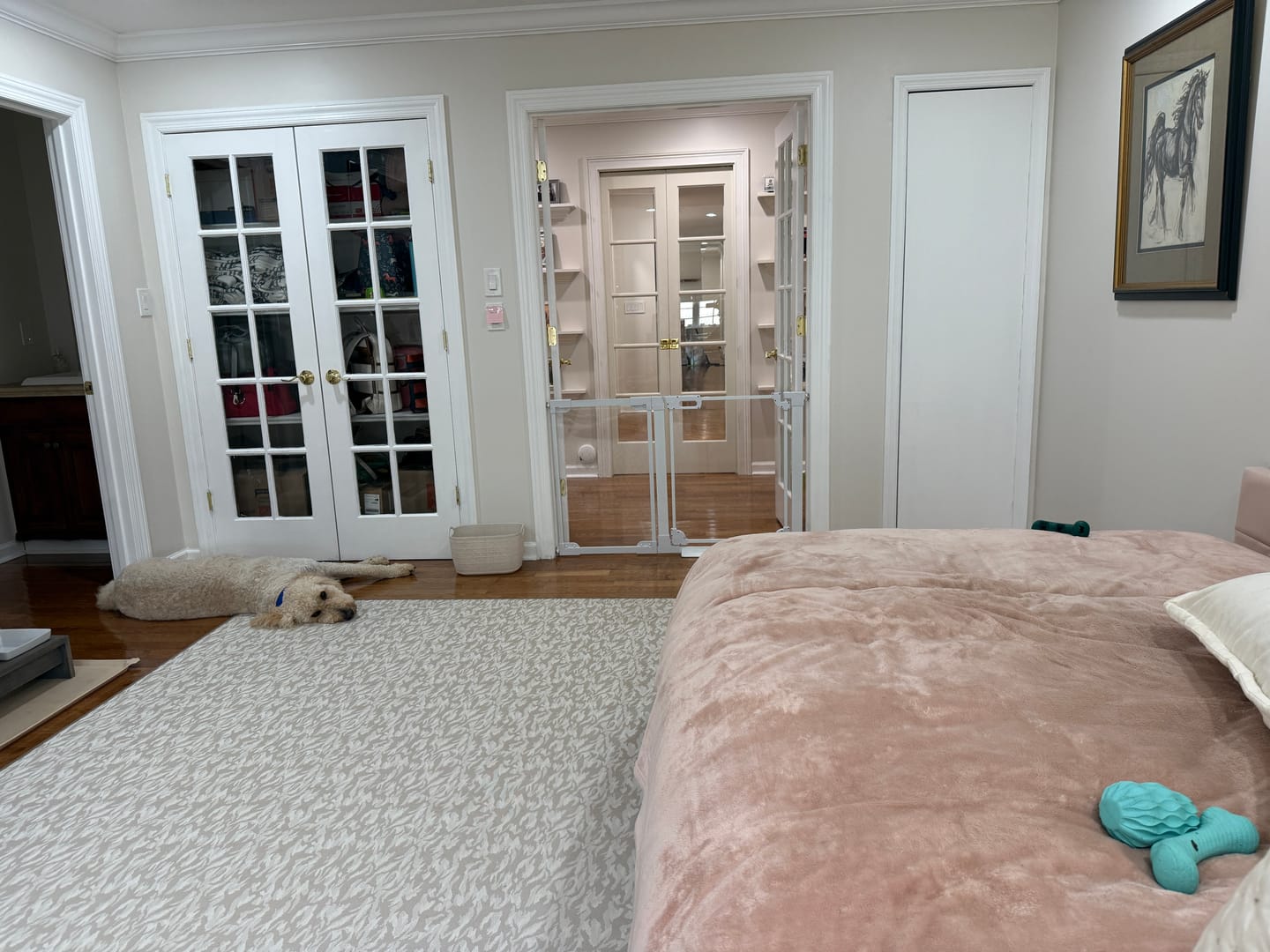 Customer photo review of FairyBaby 30" Tall Crystal Acrylic Pressure Mounted Dog Gate