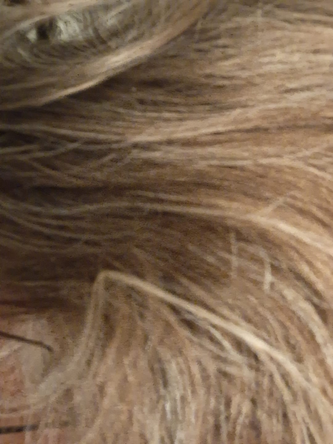 Customer photo review of CURL AWAKENING™ BOX – Für mehr Struktur