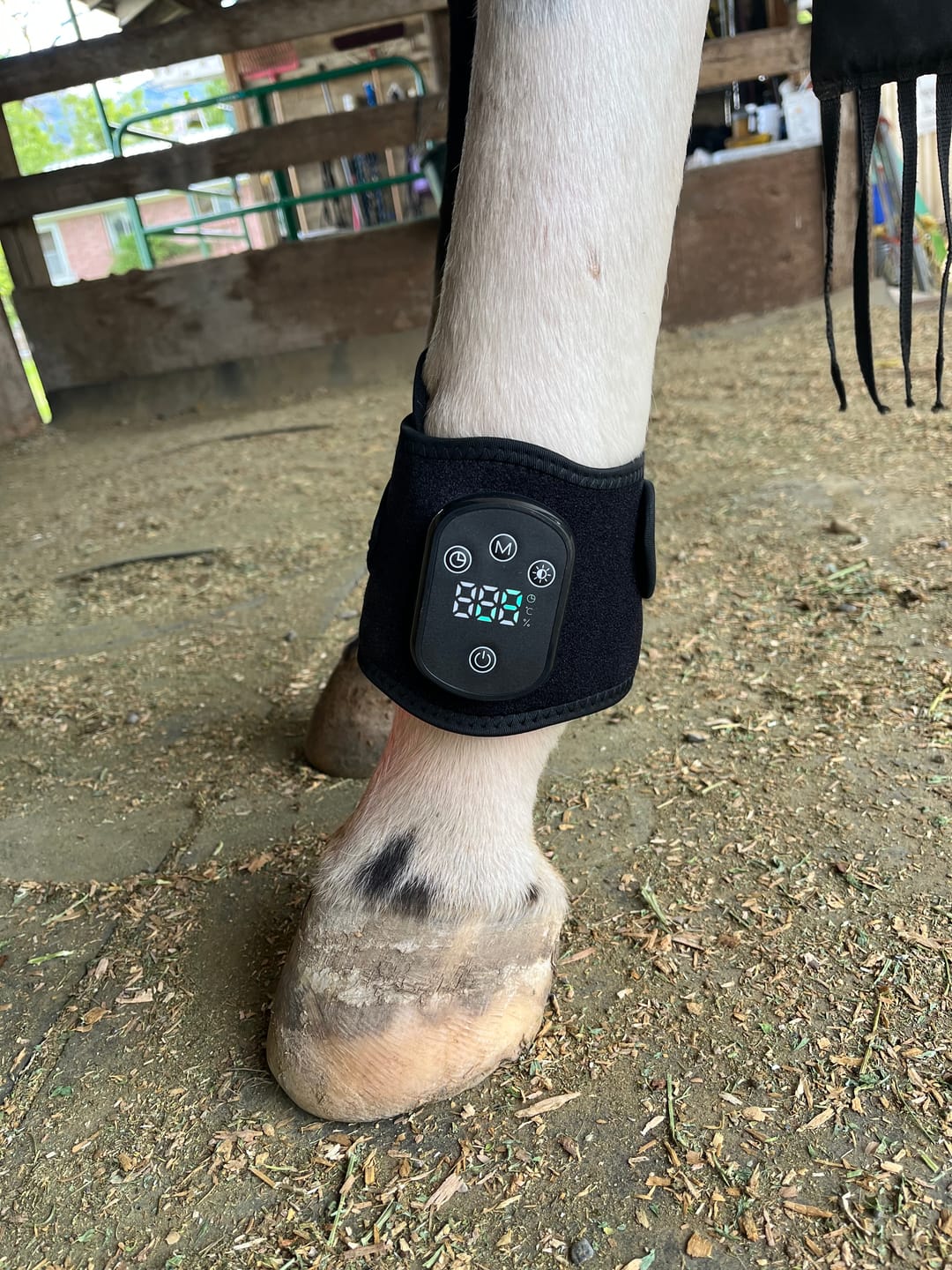Customer photo review of HorseHalo™ HaloLegs Mini