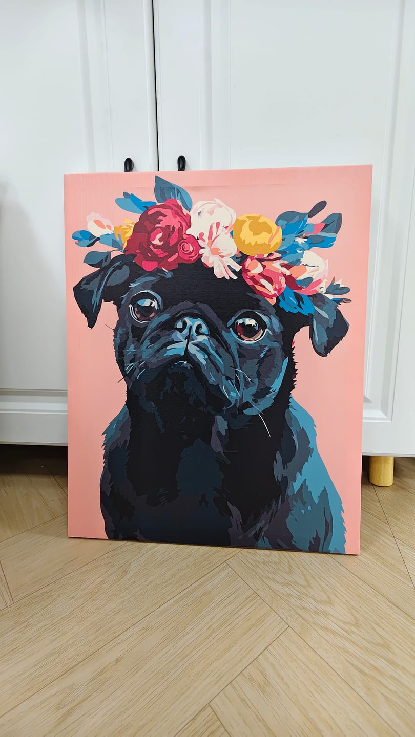 Customer photo review of Black Pug Portrait | Paint by Number