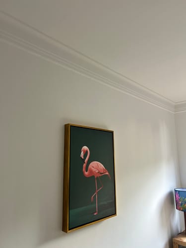 Customer photo review of Pink Flamingo Print
