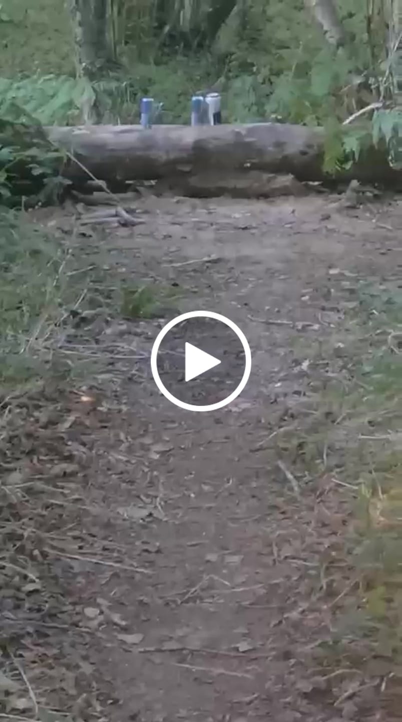 Customer video review of Reximex Mito Synthetic PCP Pistol Combo