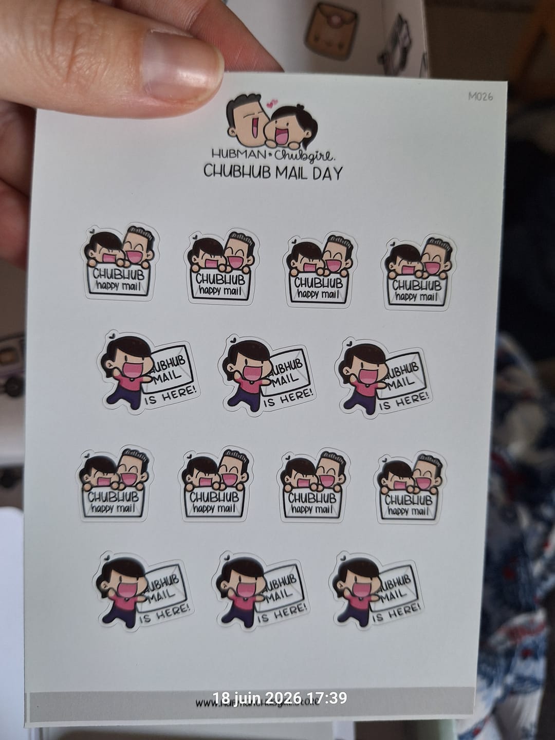 Customer photo review of Chubhub Mail Day Planner Stickers