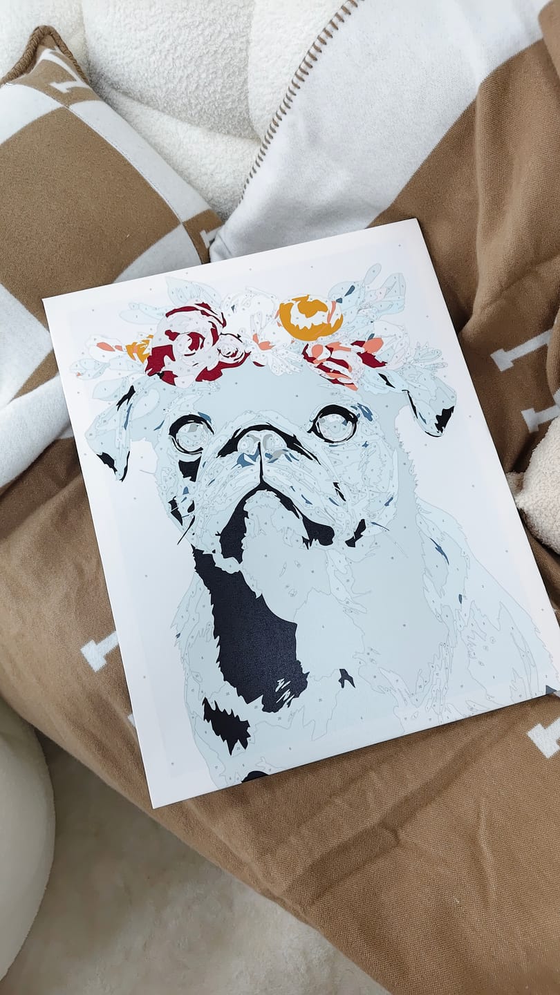Customer photo review of Black Pug Portrait | Paint by Number