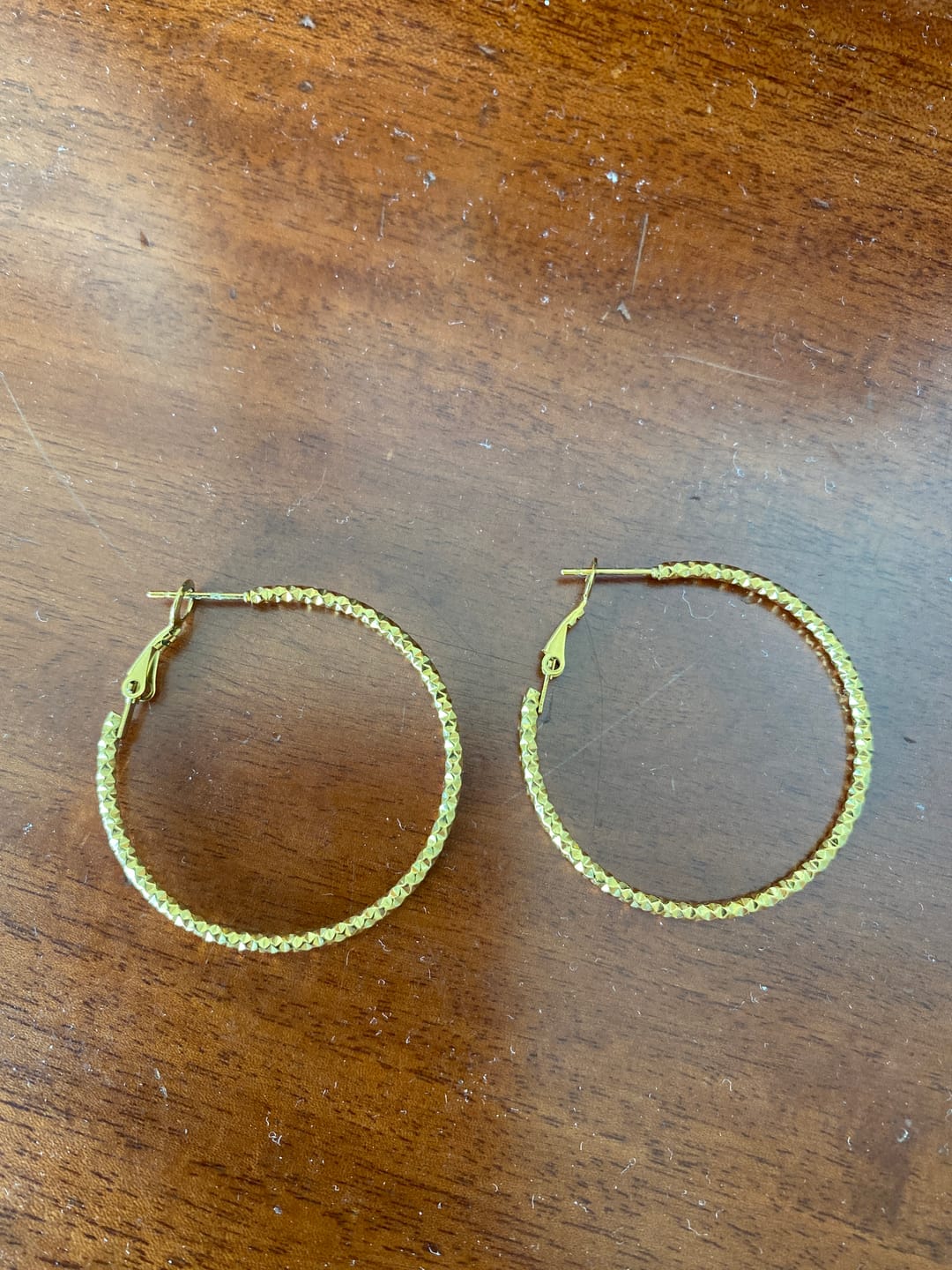 Customer photo review of Sansa - Organic Hoop Earrings Stainless Steel