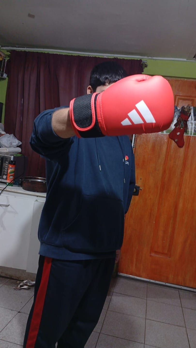 Customer photo review of Guantes de Boxeo Everlast Prostyle 2