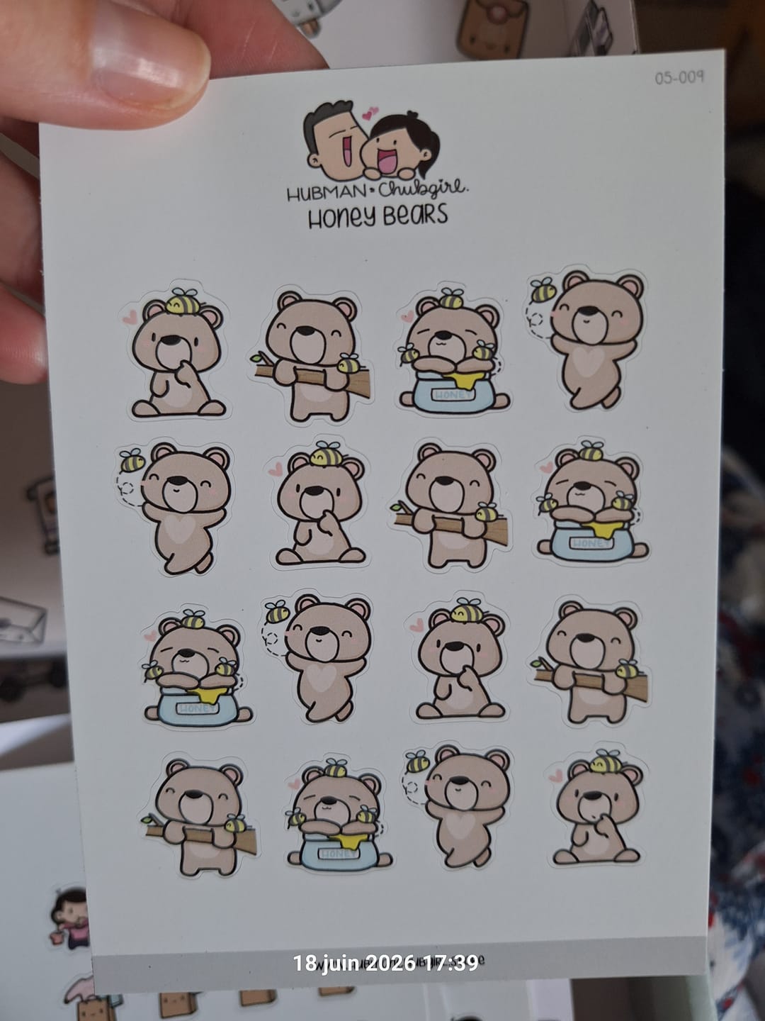 Customer photo review of Honey Bears Planner Stickers