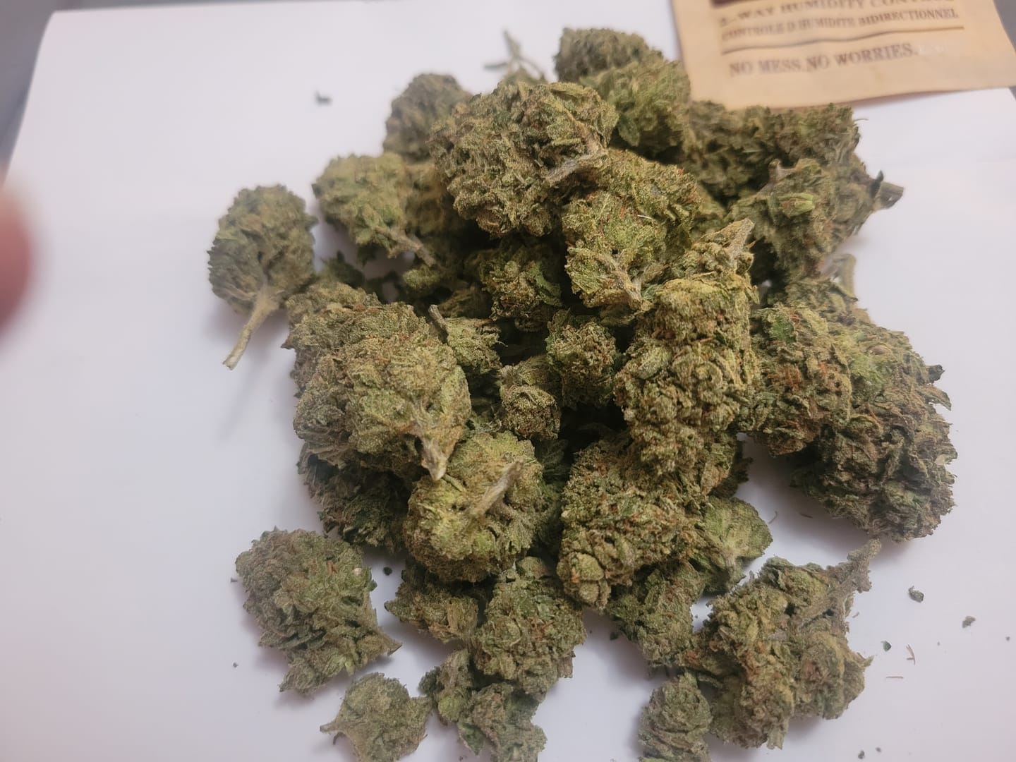 Customer photo review of Runtz x Grease Monkey - Bulk - Indica
