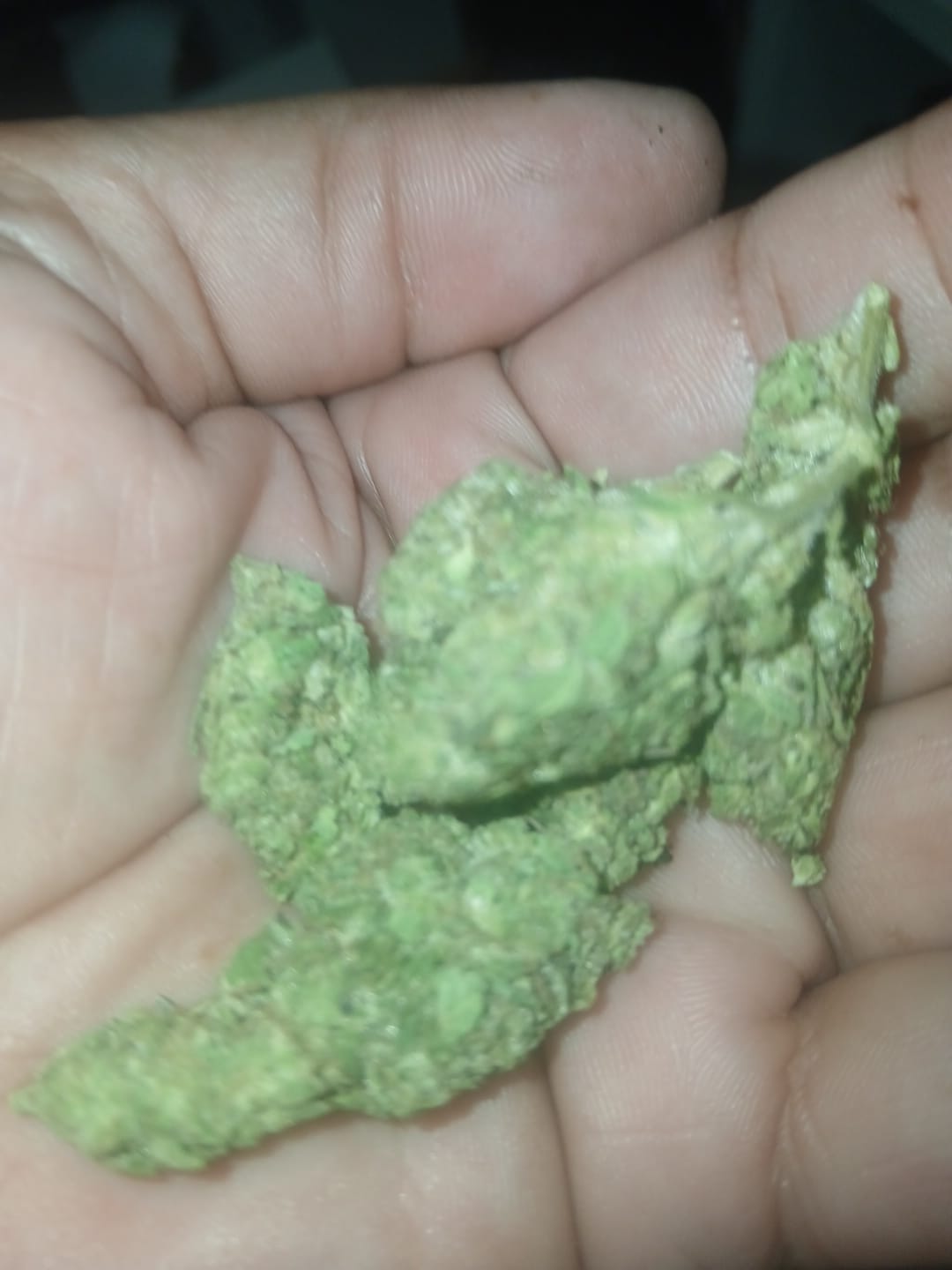 Customer photo review of Heavy OG - Minis - 28 Grams - Indica