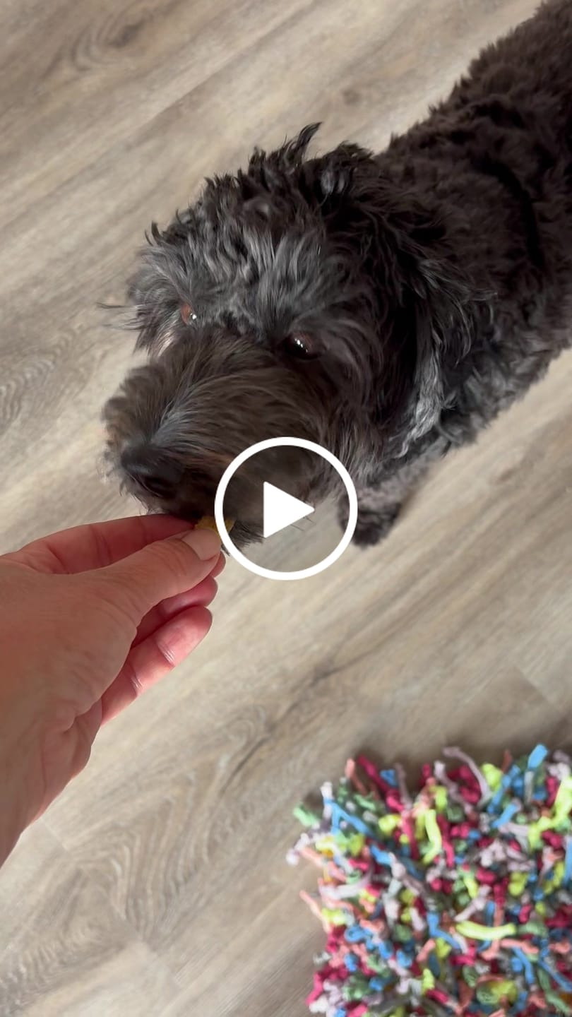 Customer video review of Treats Taster Pack, prøv vores forskellige godbidder og find din hunds favoritter, 1 pose af hver Crunch samt 2 Luxx, spar 36 kr.