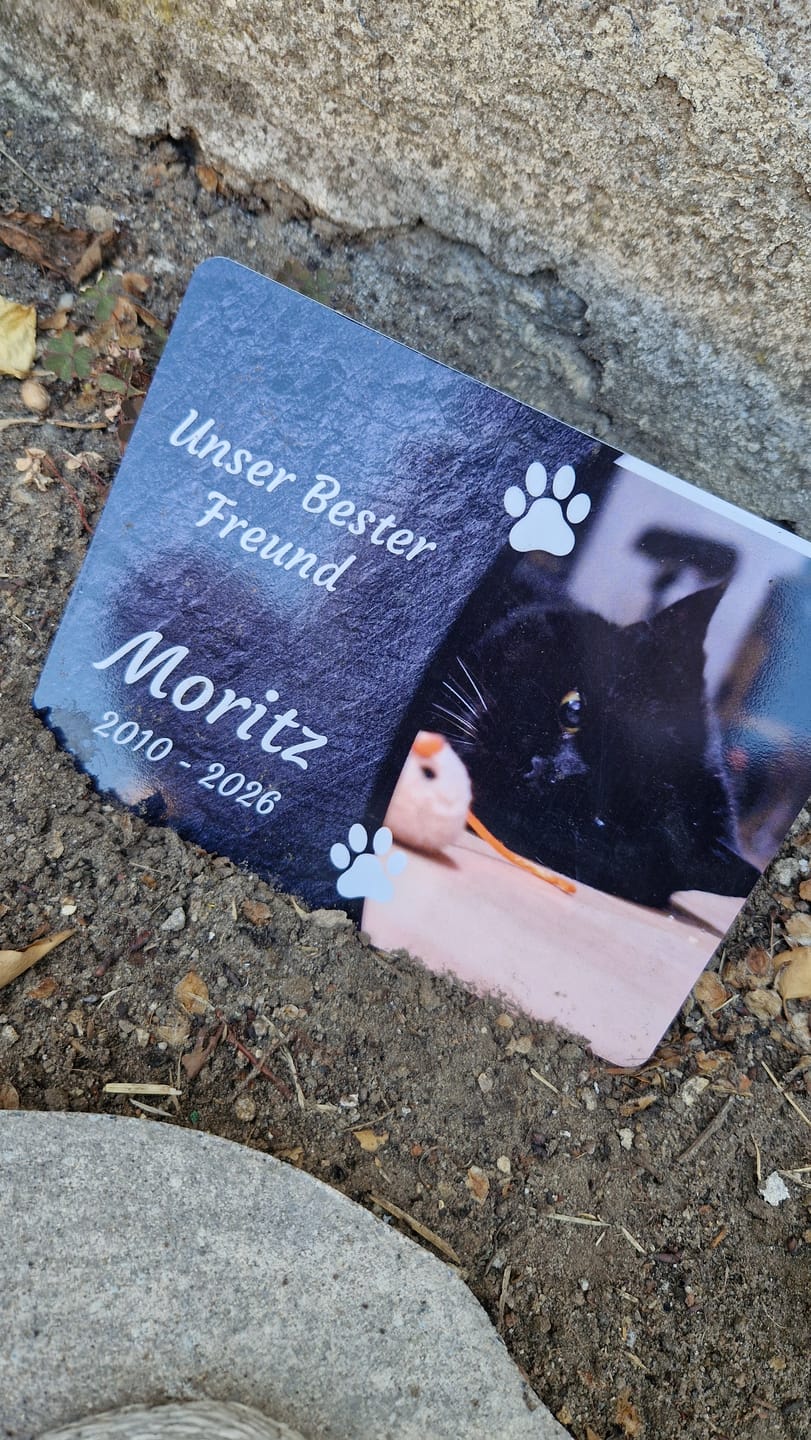 Customer photo review of Katzen Gedenktafel mit Foto & Spruch (UV- & Wetterfest)