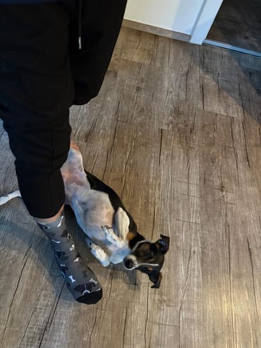 Customer photo review of Personalisierte Socken - Dein Foto