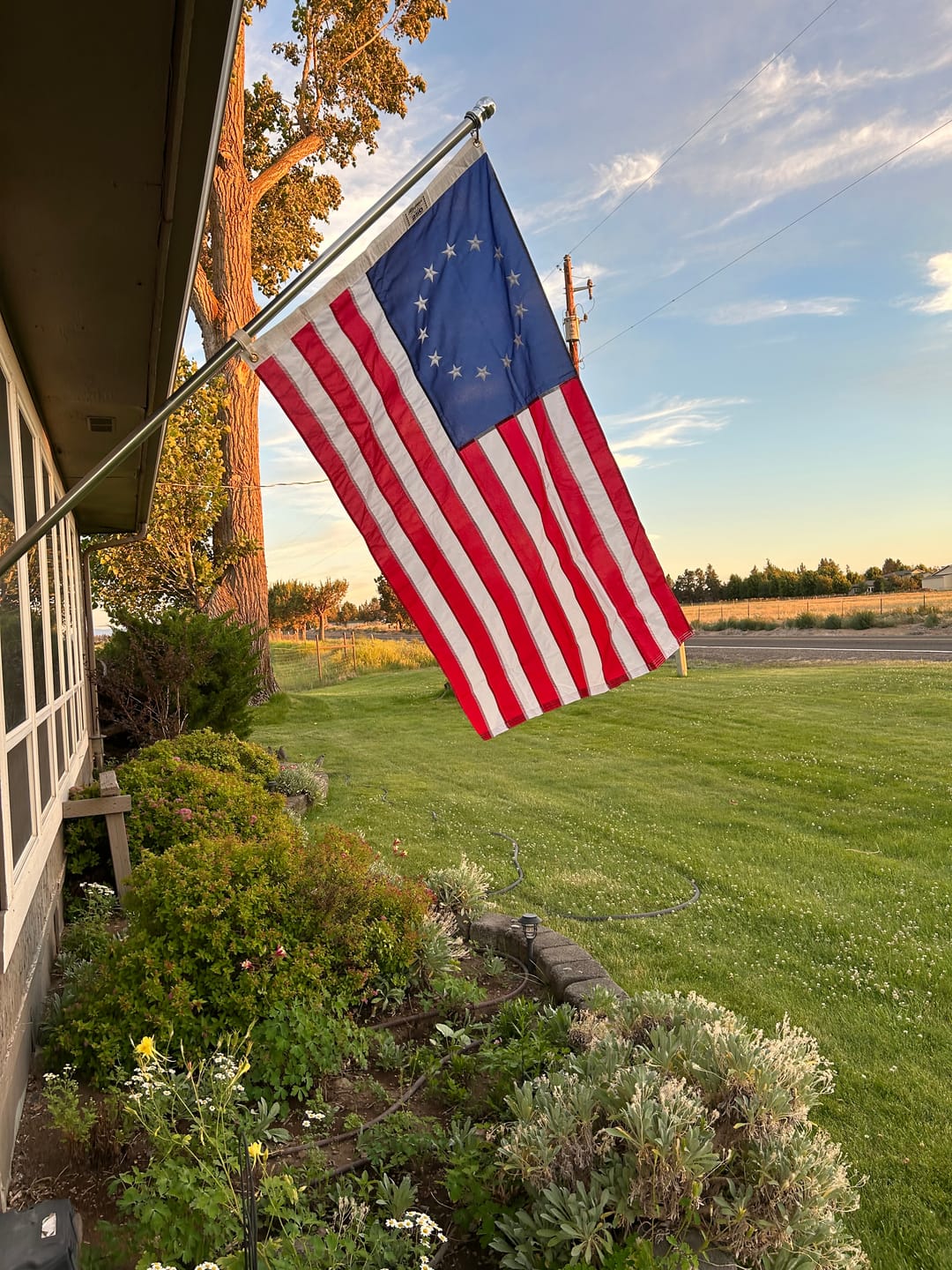 Customer photo review of 3' x 5' Betsy Ross Flag
