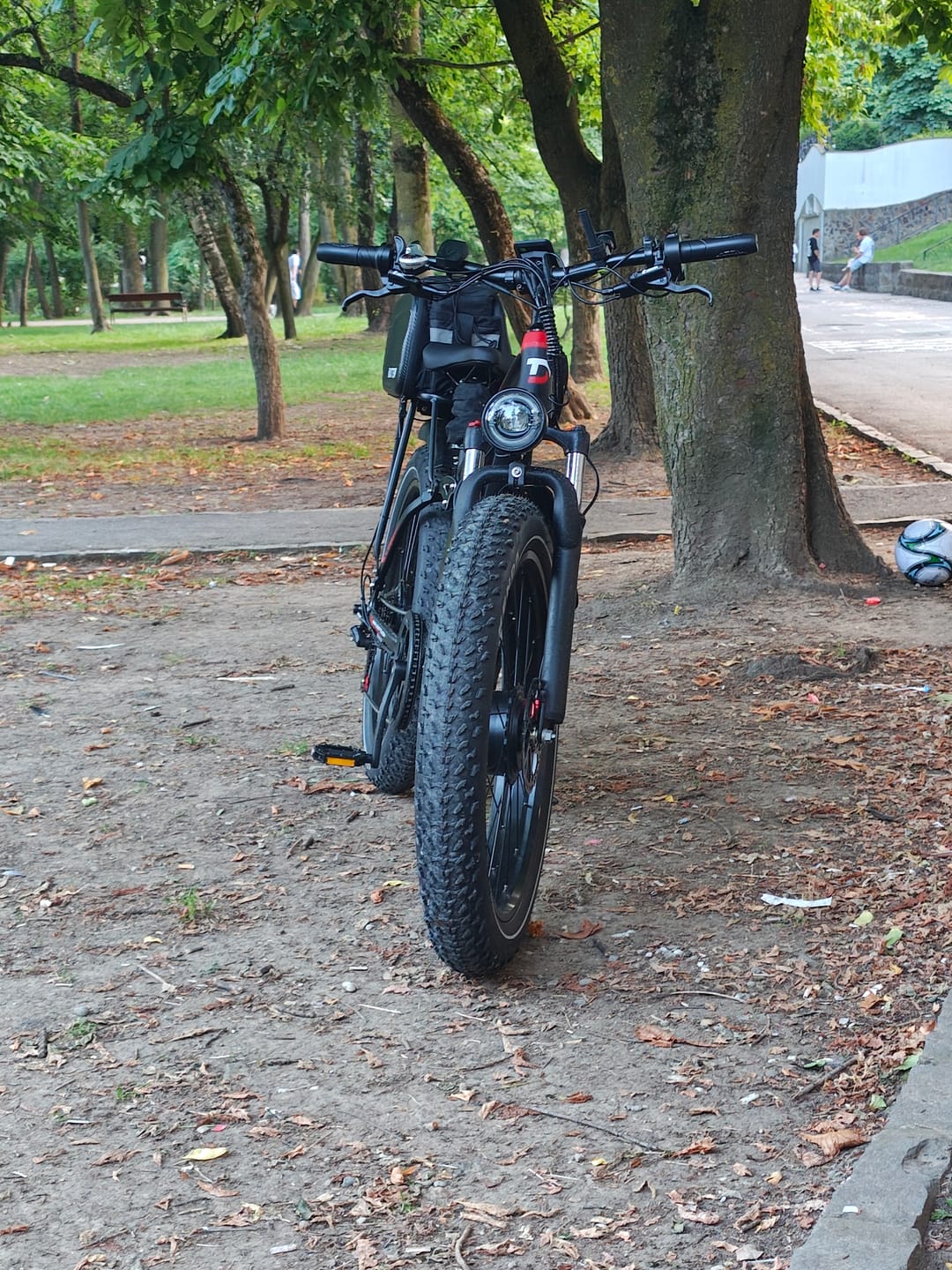 Customer photo review of Cycling Pack(Free gifts with E-bike purchase,includes mudguards,rear rack,and phone holder bag)