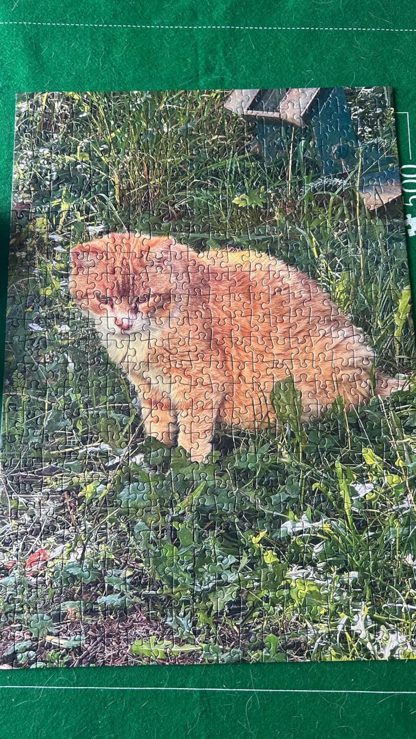 Customer photo review of Dein Lieblingsfoto als Puzzle