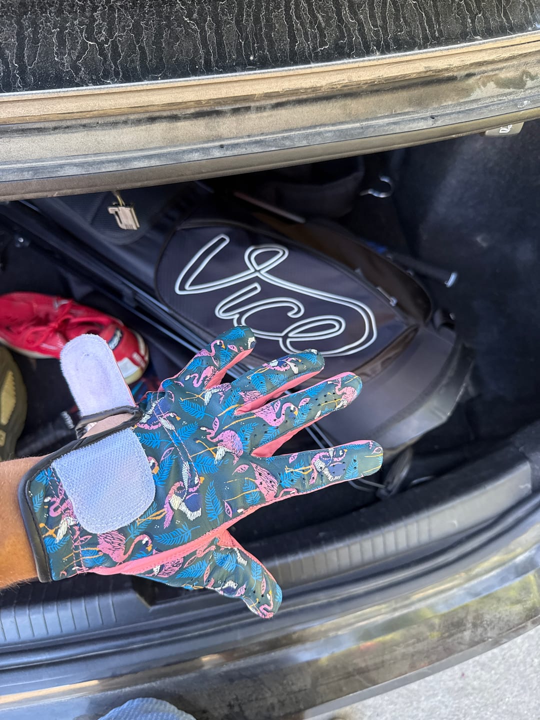 Customer photo review of Blue Flamingo Glove