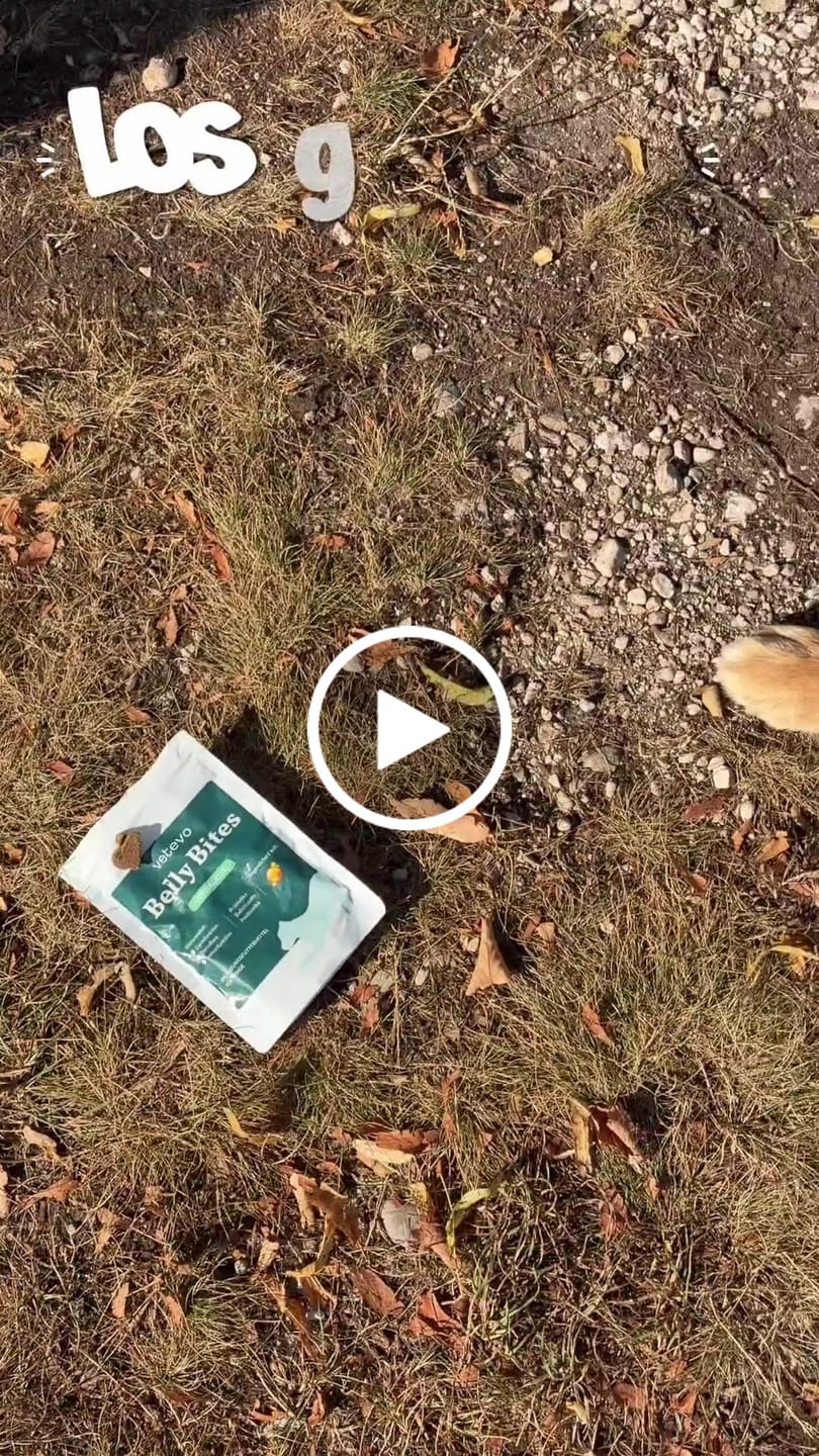Customer video review of Belly Bites 2.0 (80g) (Gratis)