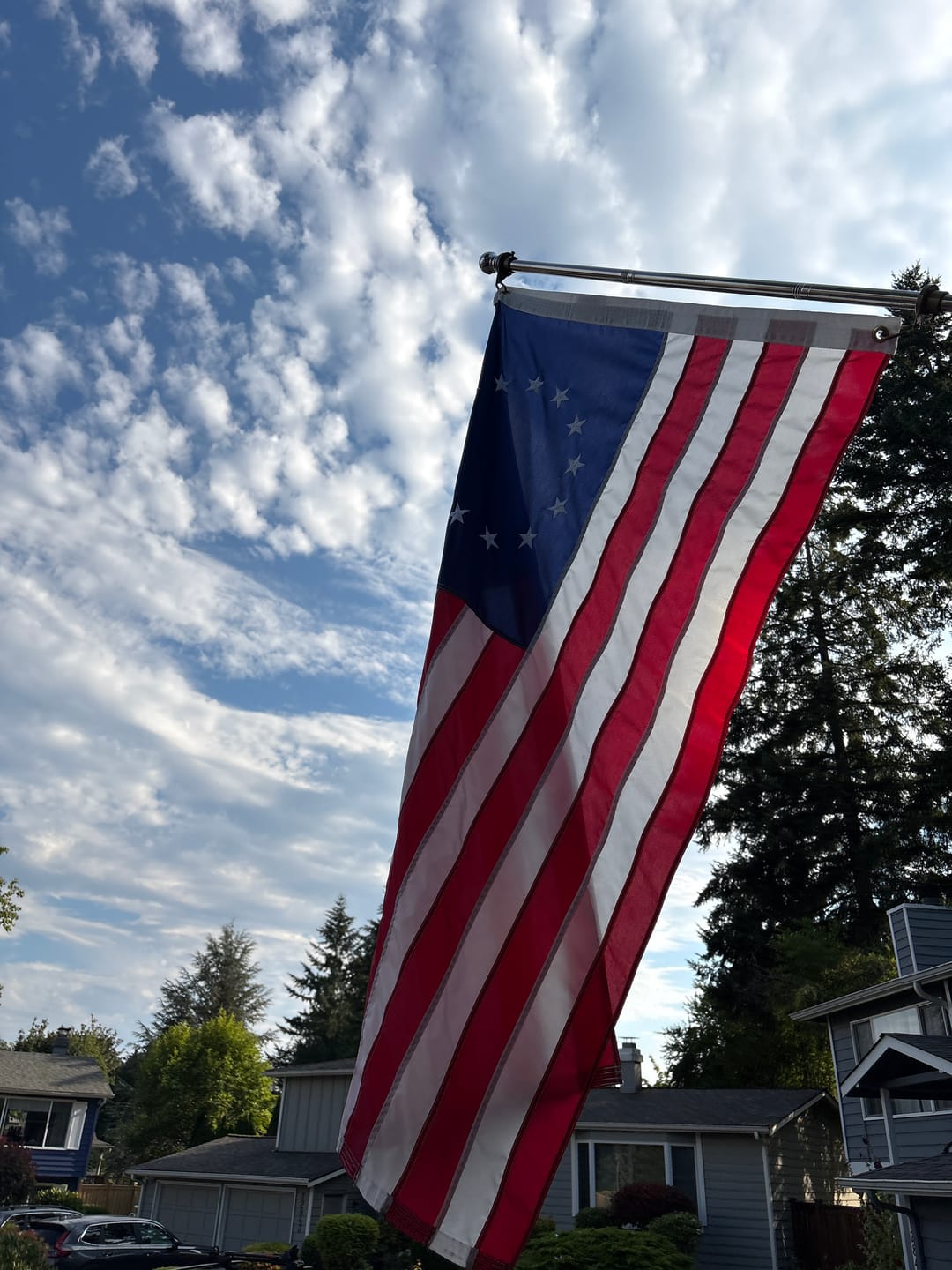 Customer photo review of 3' x 5' Betsy Ross Flag