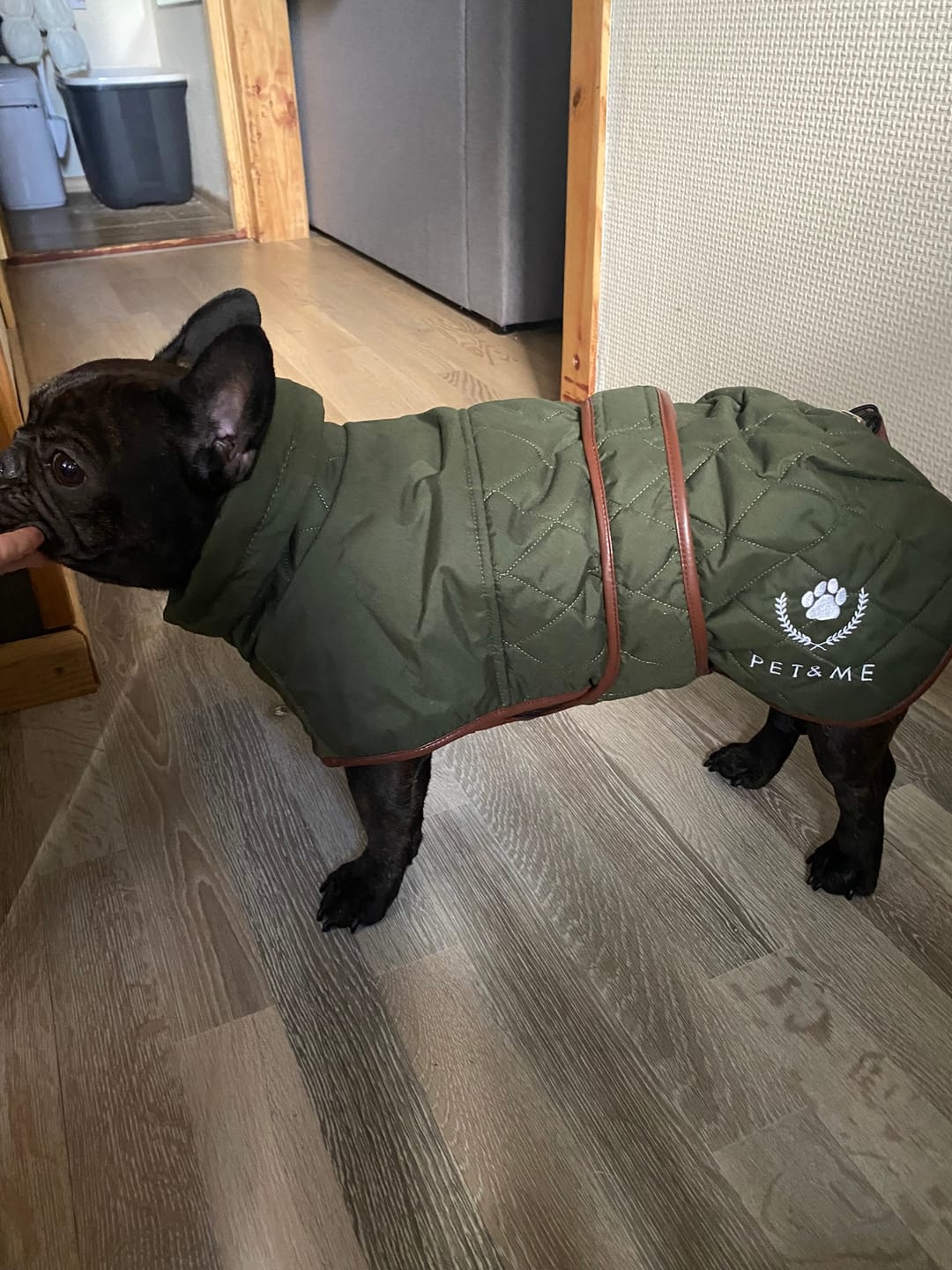 Customer photo review of Padded Jacket: Oh My Green!