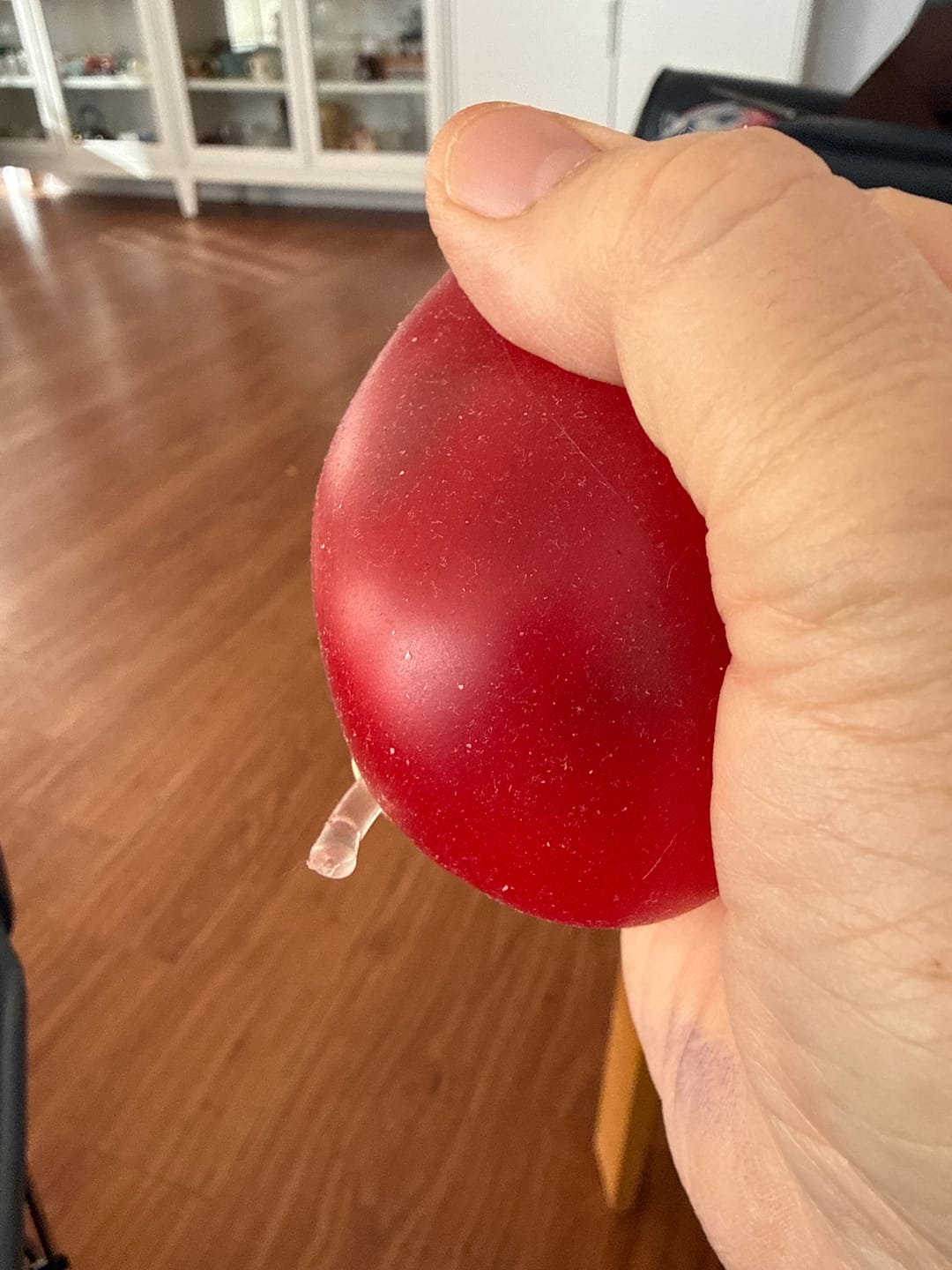 Customer photo review of Coconut Oil Apple Squishy - 2 Pack Red and Green