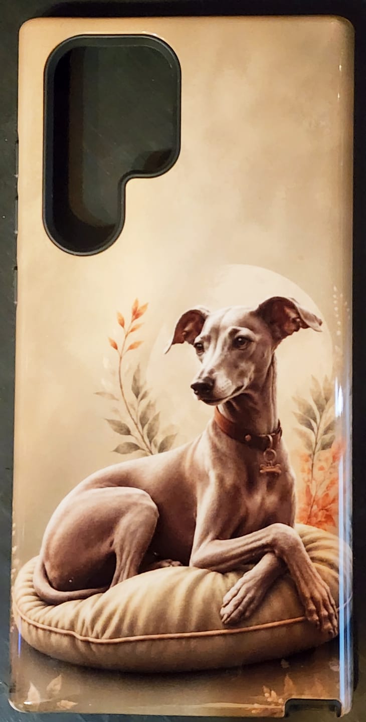 Customer photo review of Custom - Samsung Galaxy S22 Ultra