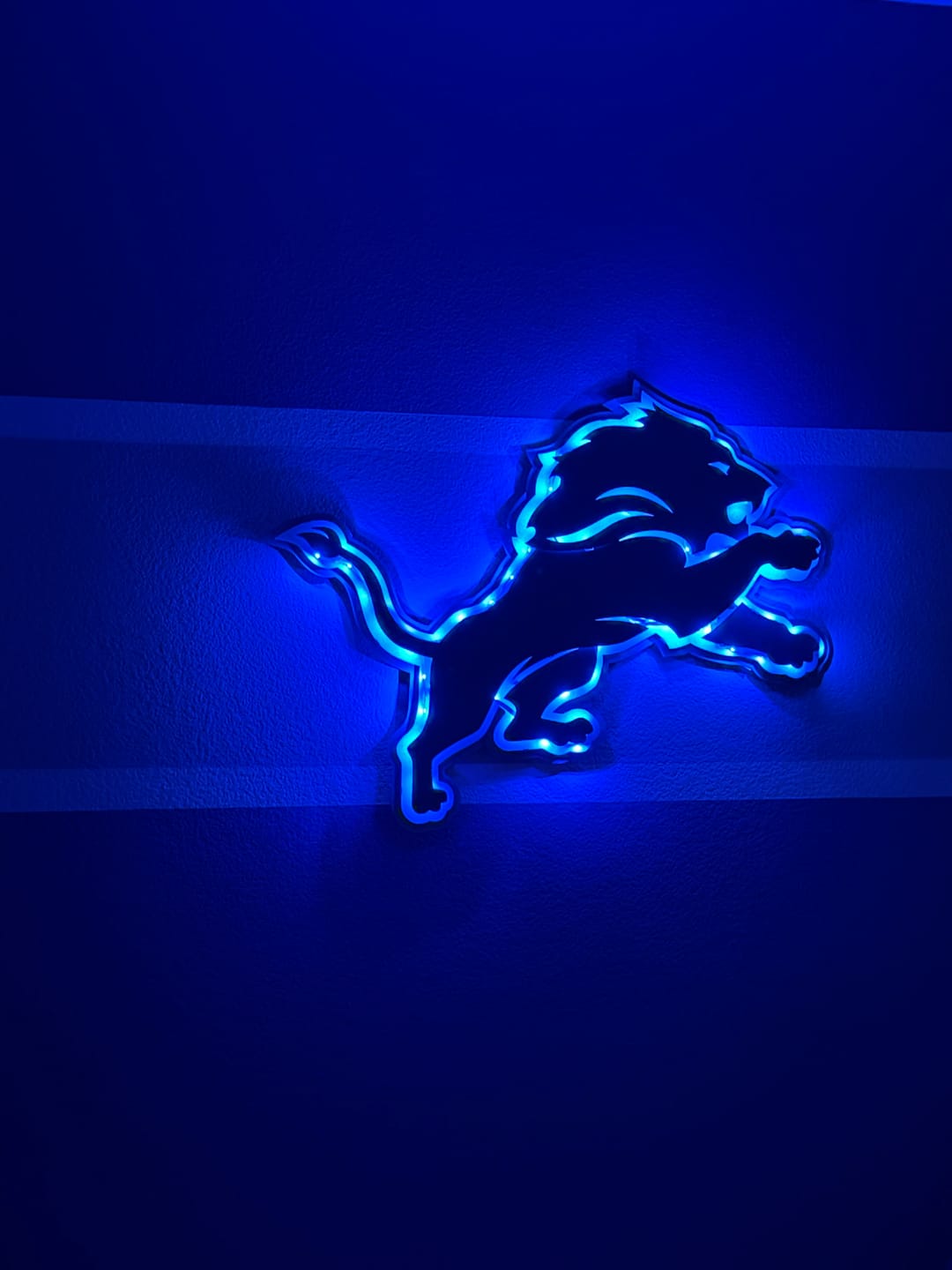 Customer photo review of Detroit Lions 3D Vintage Metal Wall Art