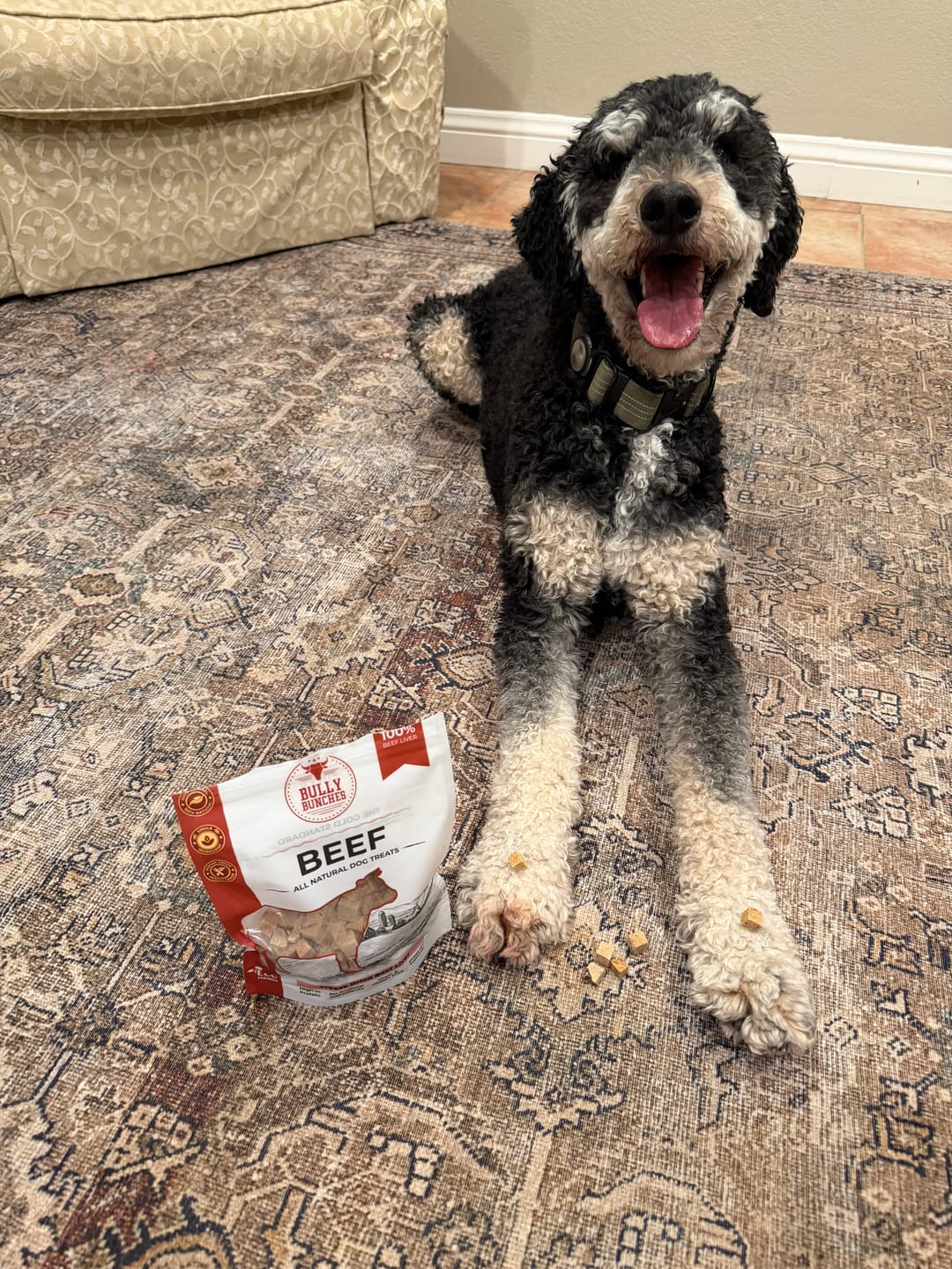 Customer photo review of Freeze Dried Beef Liver (3.52 oz)
