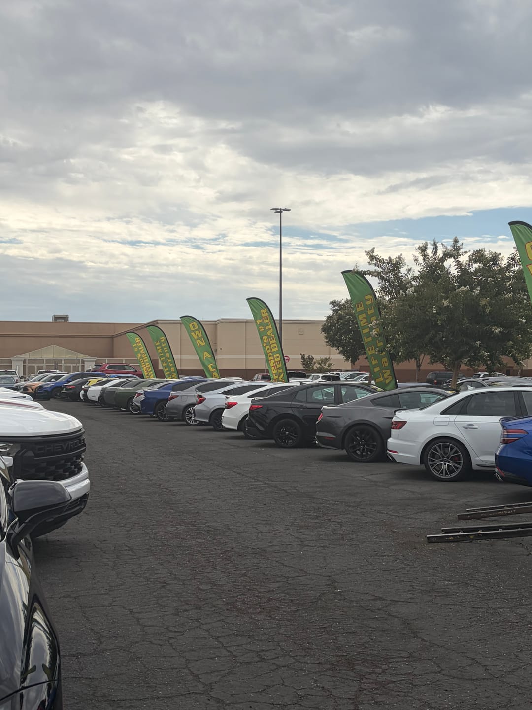 Customer photo review of Premium Concave Flags