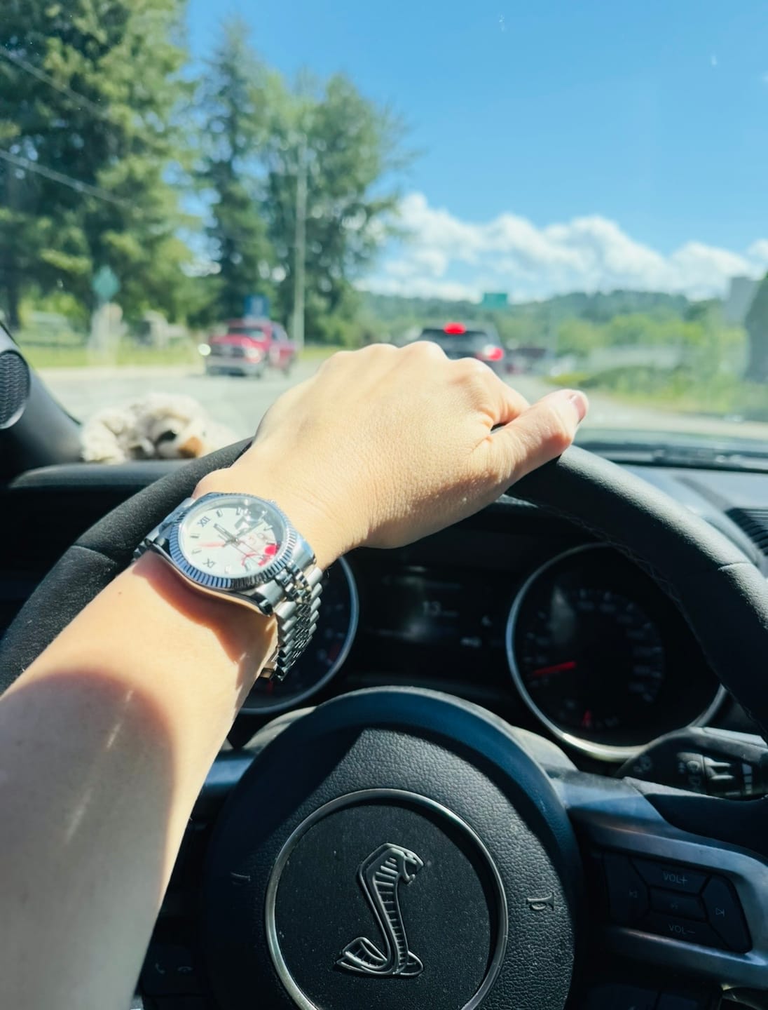 Customer photo review of Warranty Service – Protect Your Timepiece