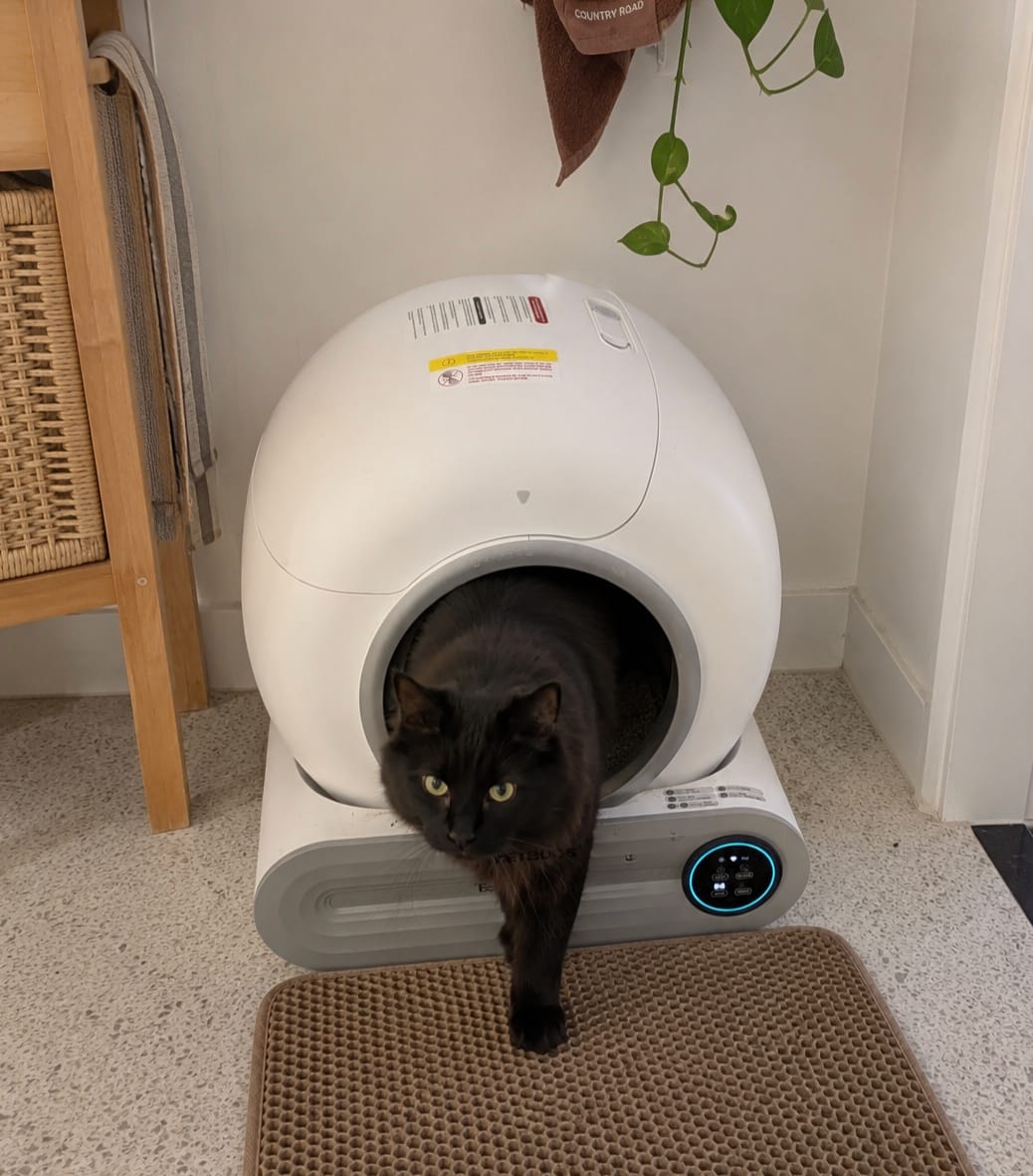 Customer photo review of Petbuds™ Pro 2026 Automatic Self-Cleaning Litter Box