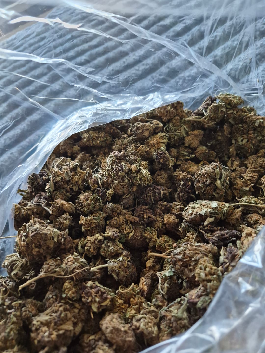 Customer photo review of Zour Stash Juicy Peach 3.5g