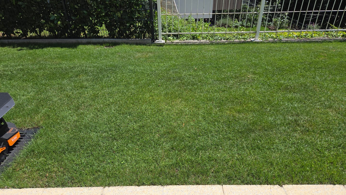Customer photo review of RASENBLITZ KRISTALLDÜNGER SOMMER