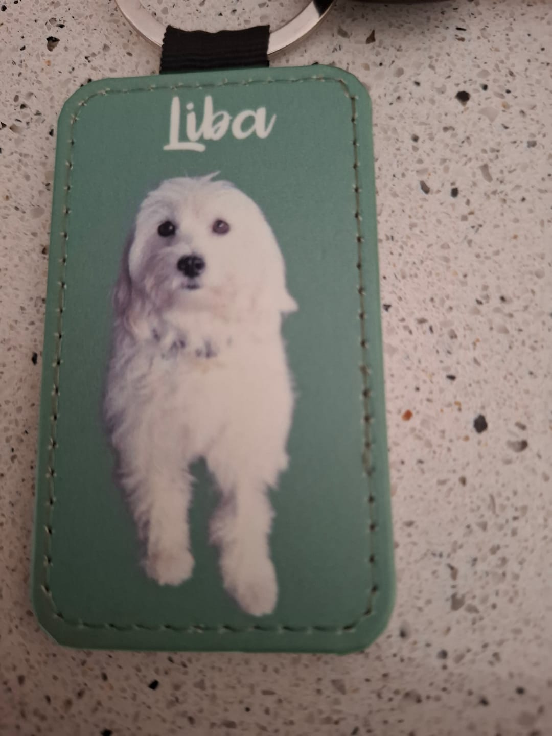 Customer photo review of Huisdier portret - Gepersonalliseerde sleutelhanger