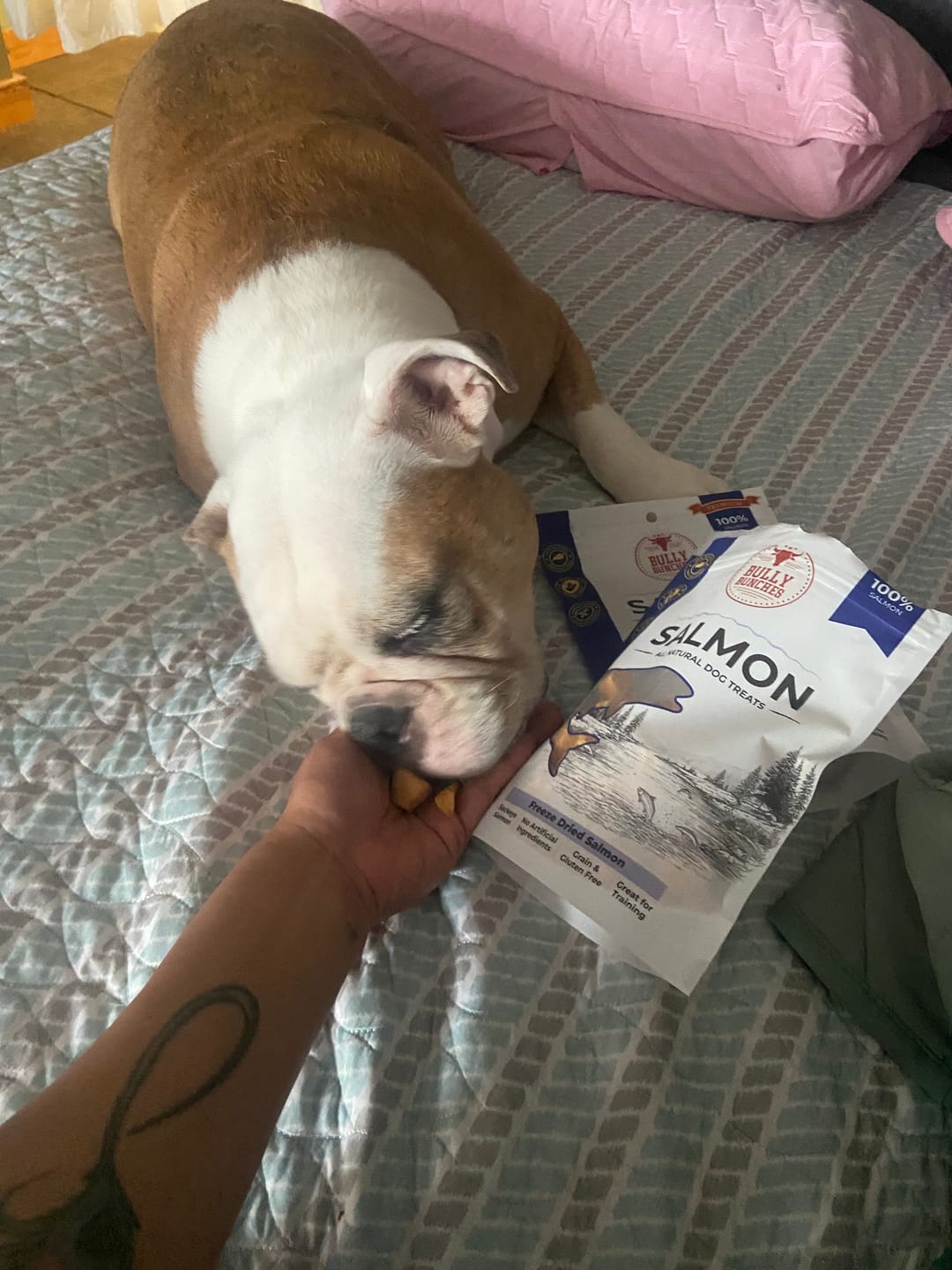 Customer photo review of Freeze Dried Salmon (3.52 oz)