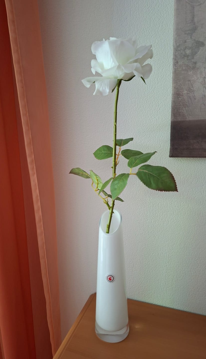 Customer photo review of Vase Lotus