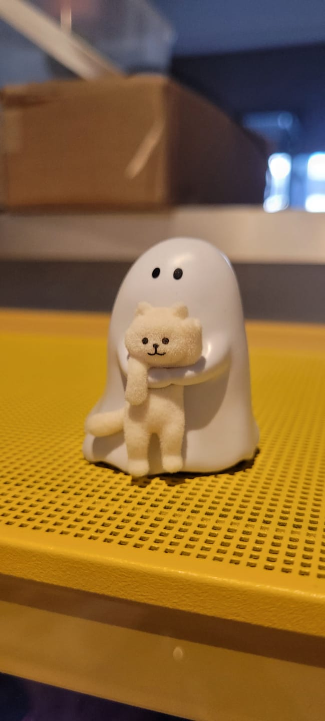 Customer photo review of Ghody Behold My Cat Series Mini Blind Box