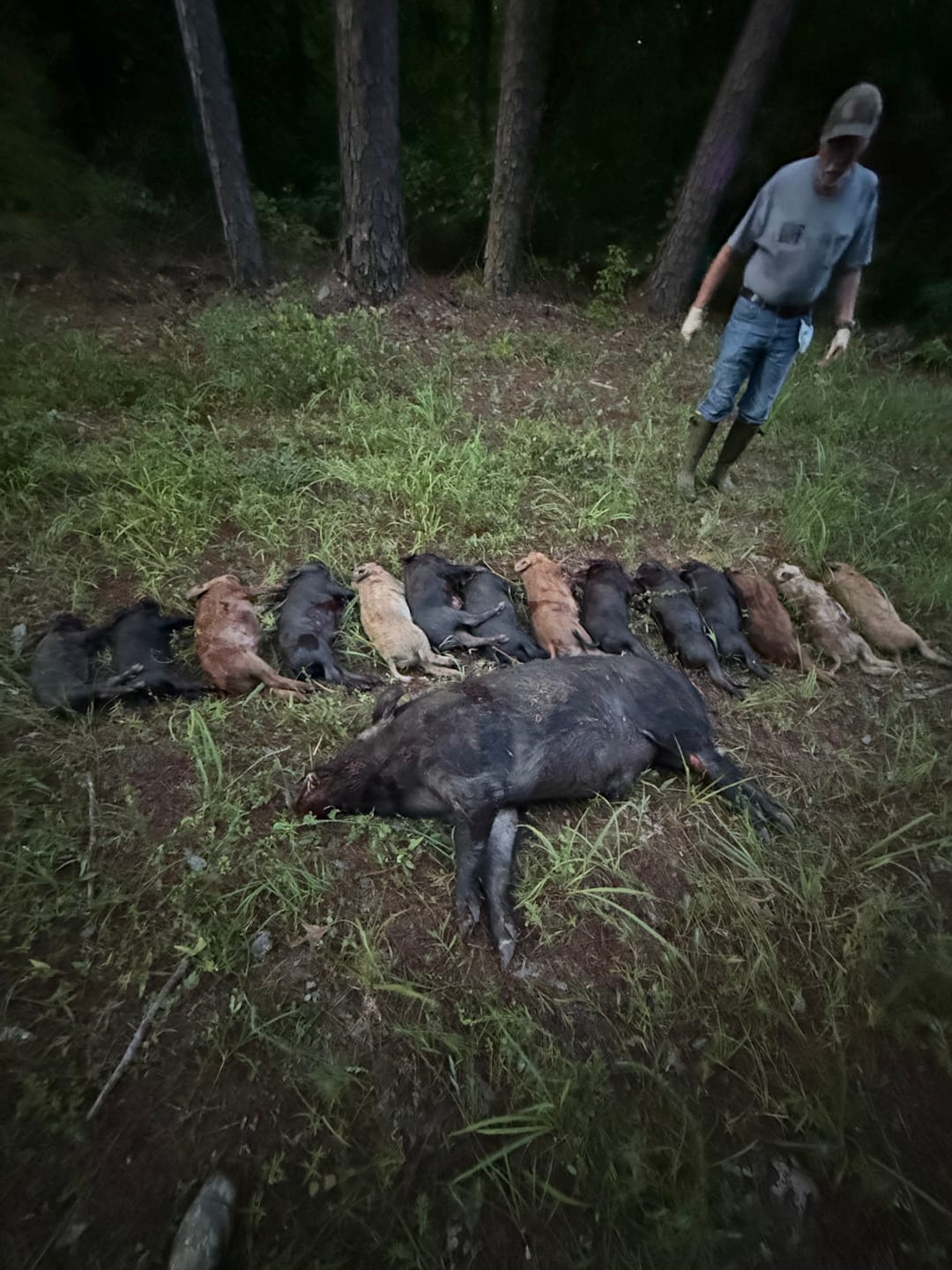 Customer photo review of Pig Brig Trap System