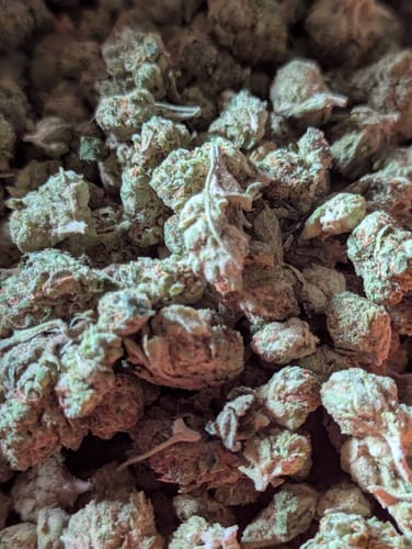 White Widow - 28 Grams – Hybrid photo review