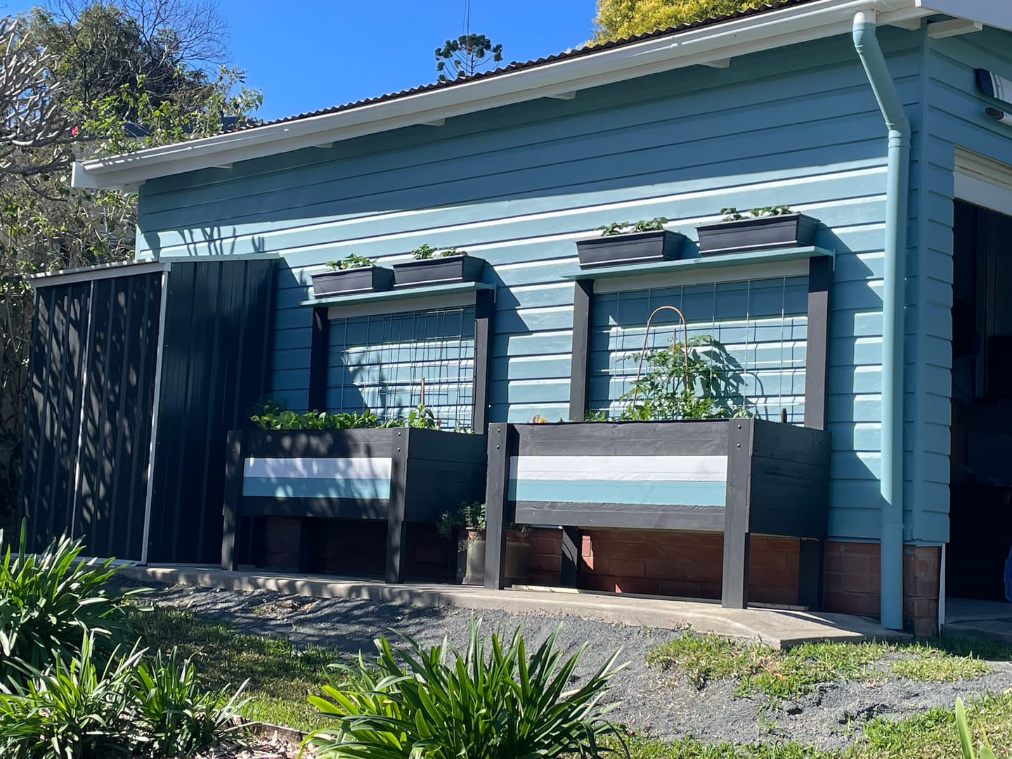 Customer photo review of LARGE Raised Garden Bed with Trellis & Pot Shelf - Timber 157x60x80cm(h)