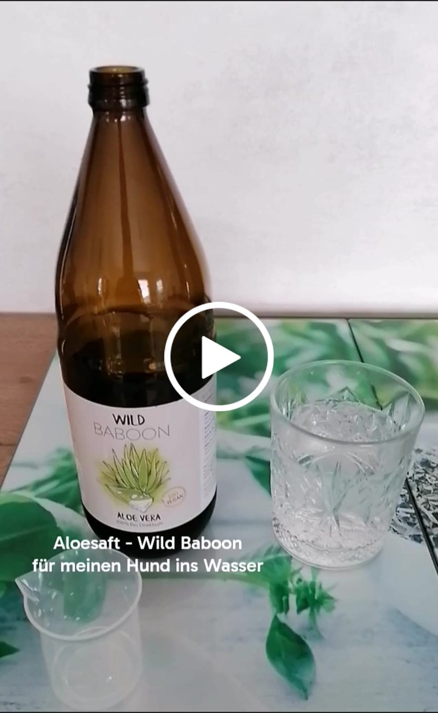 Customer video review of Bio Aloe Vera Direktsaft - Reine Pflanzenkraft