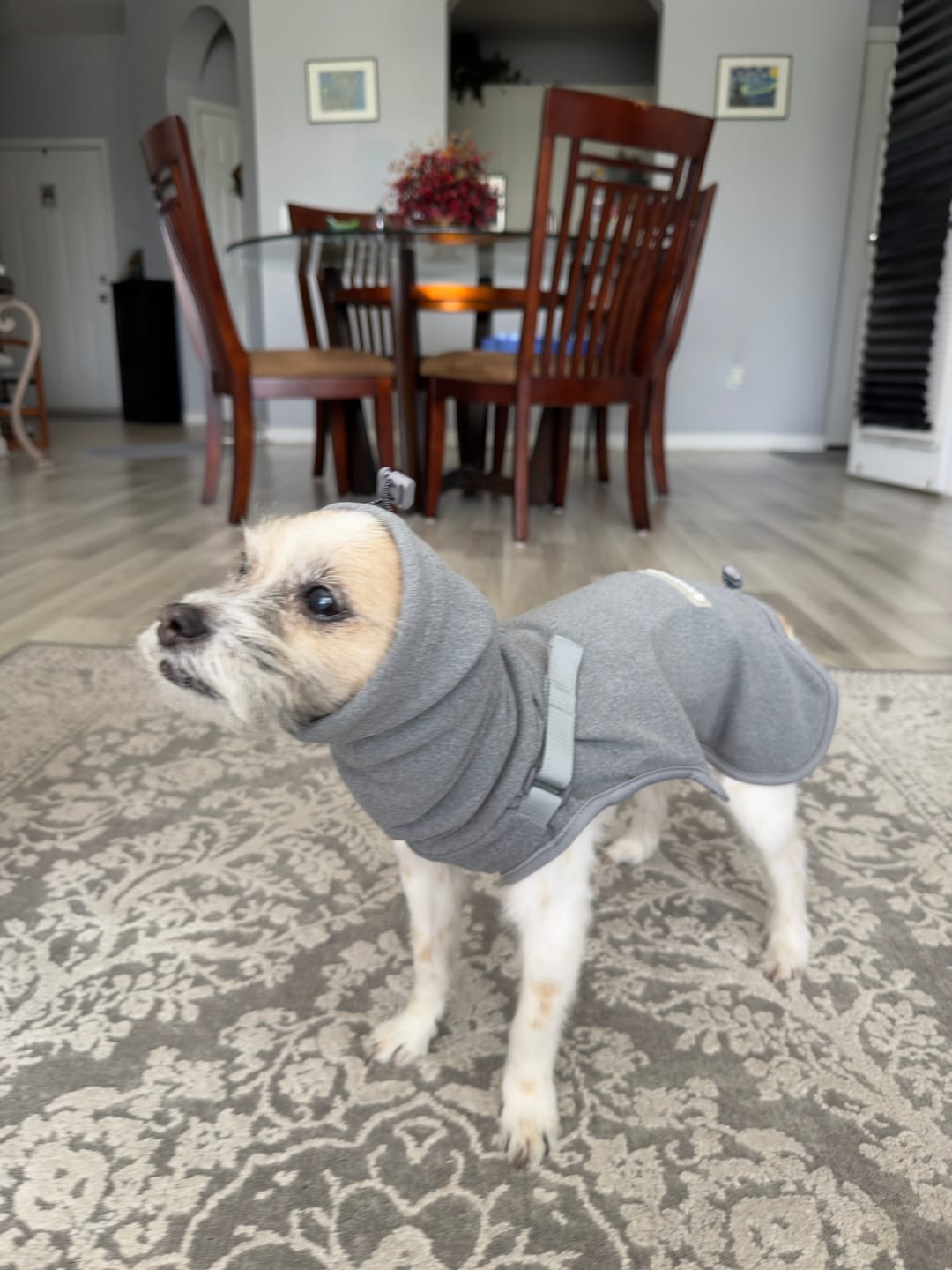 Customer photo review of Anxiety Calming Suit