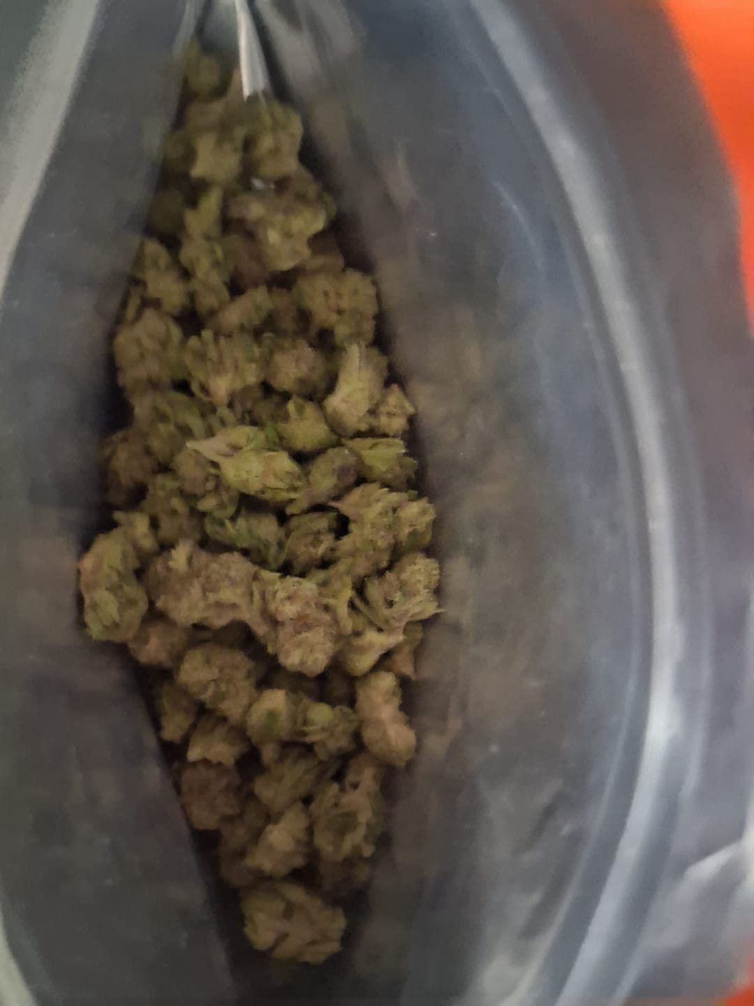 Customer photo review of Value Indoor Smalls